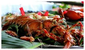 龙虾为何不会自然老死