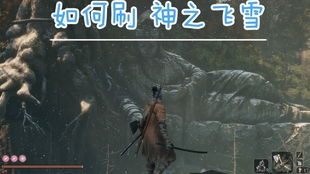 《只狼》速刷与位置指南:高效获取神之飞雪技巧