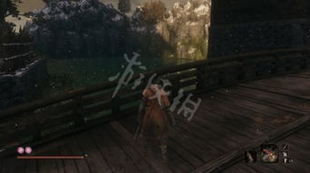 《只狼》速刷与位置指南:高效获取神之飞雪技巧