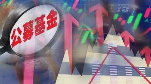 浙江卫视《今日证券晚间版》：把握股市脉搏，今晚准时揭晓！