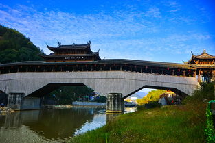 胪岗论坛去哪了