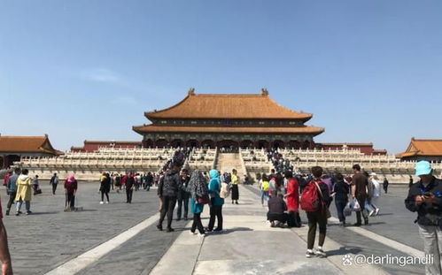 胪岗论坛去哪了