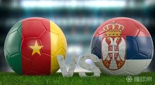 塞尔维亚与喀麦隆是否同组