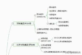 世纪华联在线商城的成长历程