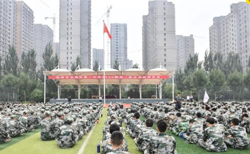 探索定陶一中官网：获取最新资讯与校园动态