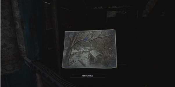 生化危机8重返古村剧情流程图文一览