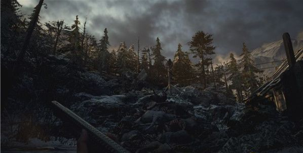 1677566049953918.png 生化危机8莫罗的实验室剧情流程图文一览