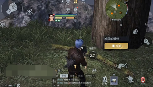 黎明觉醒生机赛恩斯丘陵藏宝图在哪