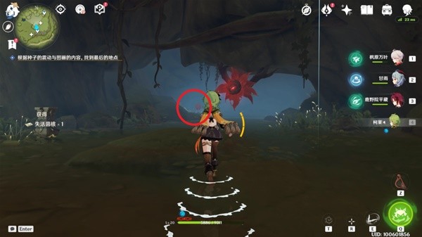 原神静态风景及后篇任务攻略