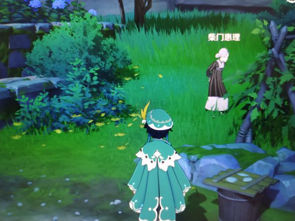 原神绀田事话任务完成方法