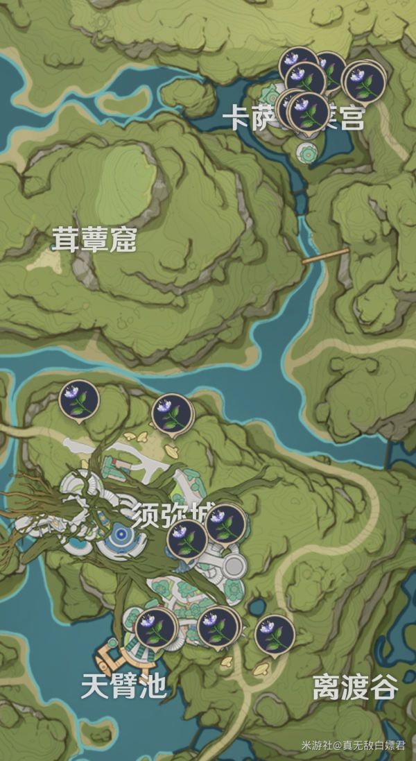 原神妮露强度及玩法解析