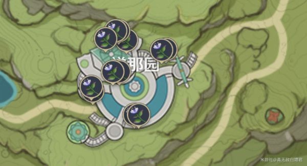 原神妮露强度及玩法解析