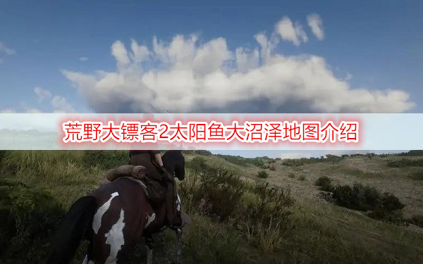 荒野大镖客2太阳鱼大沼泽地图介绍