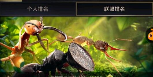小小蚁国2023兑换码有哪些