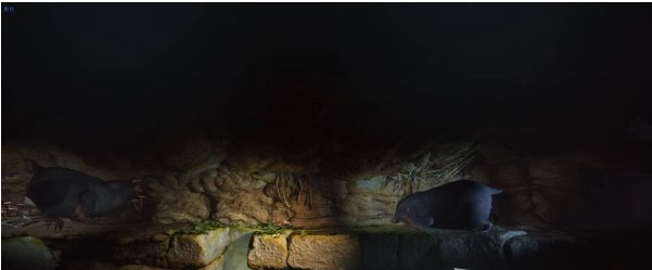 1677815409338915.png 双人成行花园·擅闯禁地谜题图文一览