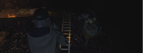 生化危机8萝丝魅影DLC城堡(3)图文攻略
