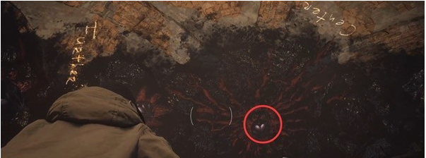 生化危机8萝丝魅影DLC城堡(8)图文攻略