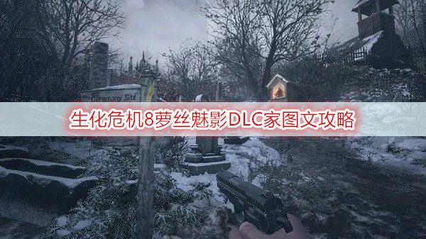 生化危机8萝丝魅影DLC家图文攻略