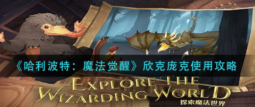 哈利波特魔法觉醒欣克庞克怎么用