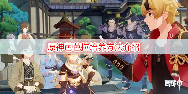 原神芭芭拉培养方法介绍