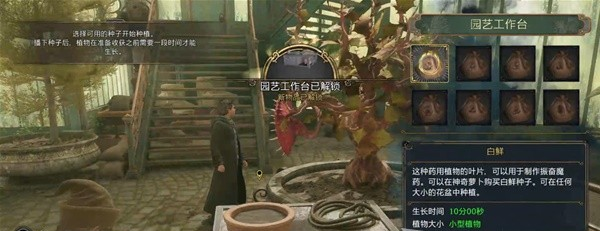 霍格沃茨之遗草药学课程图文流程一览