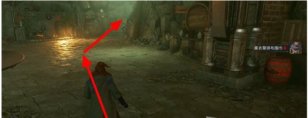 1678692584317430.png 霍格沃茨之遗罗德高克的忠诚度图文流程一览