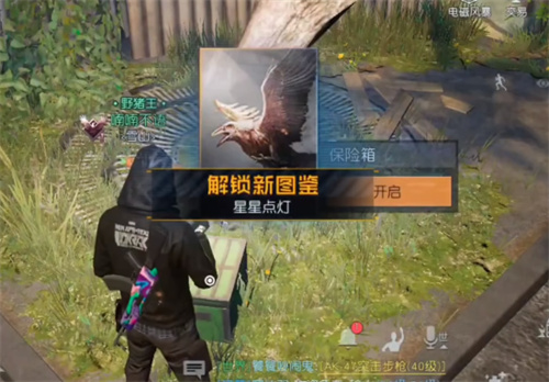 黎明觉醒生机星星点灯藏宝图在什么位置