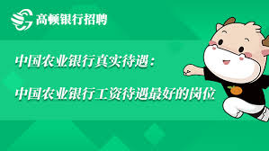 农业银行劳务派遣：优渥薪酬与福利待遇，诚邀您的加入！