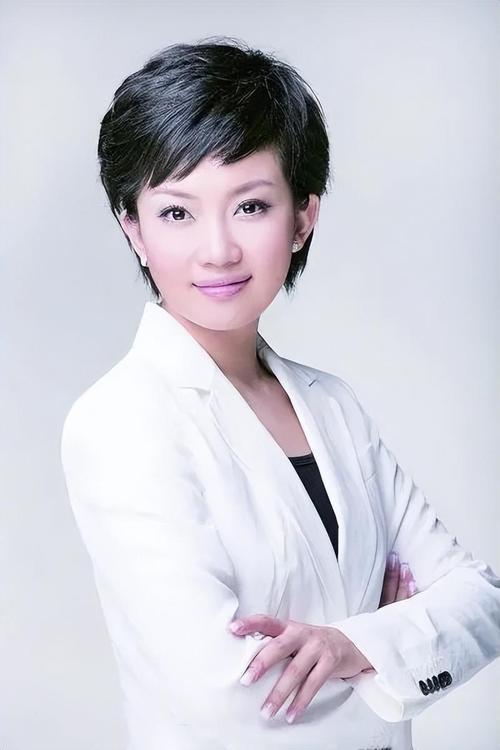 怀旧风华：探寻河北电视台资深主持人黄灵的经典影像记忆