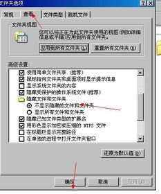 如何删除Autorun.inf.Seg文件？