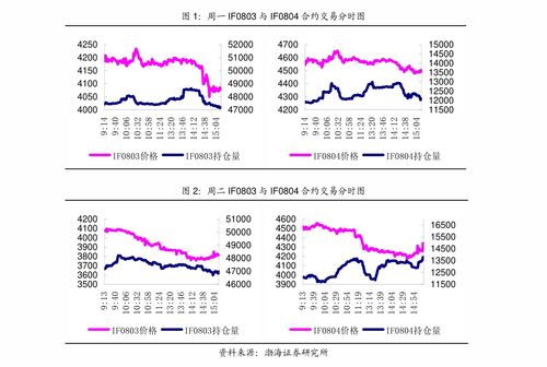 和金毛发生产关系：一场温馨而奇妙的陪伴之旅