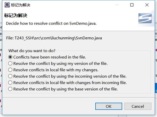 贺朝谢俞赛车对决：一场速度与激情的超细过程解析