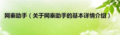 网秦助手：高效管理工具，提升您的数字生活体