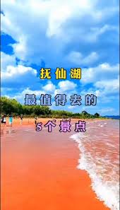 澄江阳光海岸：免费沙滩畅玩全攻略，快来解锁夏日乐趣！