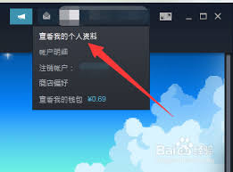 如何查看Steam等级