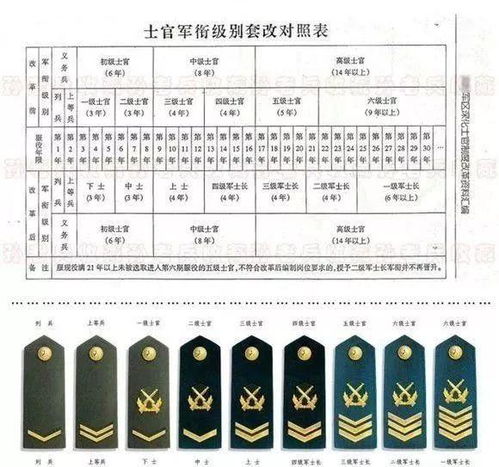 CF2024军衔全解析：图标+名称+等级排名+经验获取指南