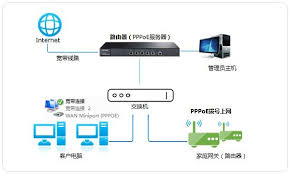 ENTERNET300高效设置指南：轻松解锁网络潜能