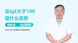 0100：探索其背后的深意与应用领域