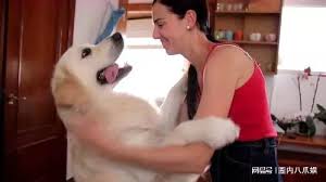 “惊爆！人和狗能否杂交的真相，你绝对想不到！”