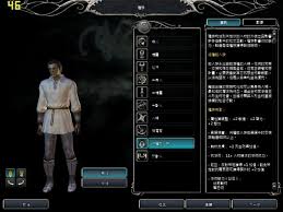 《无冬之夜2：极致冒险指南》