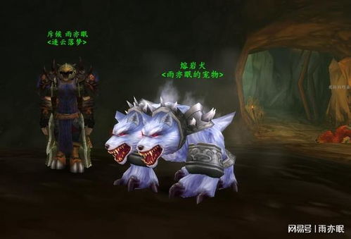 猎人宠物怎么选？魔兽世界怀旧服最强宠物推荐！