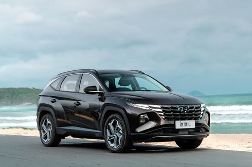 五龙抱柱：探索生活中的神秘五龙抱柱神功奥秘