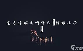 《棒球小子:忍者棒球》