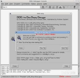 ddddddd:探索这个神秘词汇的真实含义