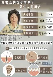 日本人基因与哪个国家的人最为接近？