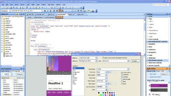 海鸟与鱼相爱？这段跨物种爱情背后的深意