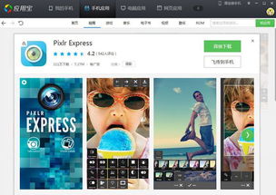 海鸟与鱼相爱？这段跨物种爱情背后的深意