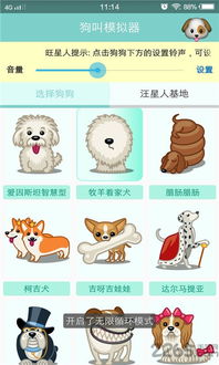 十大热门宠物翻译器推荐