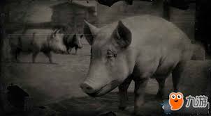 《荒野大镖客2》巴克夏猪刷新位置分享