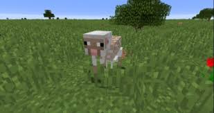 轻松驯服山羊！我的世界动物养成新玩法